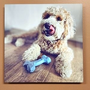 Dog Bone Super Bite